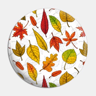 Autumn leaves on white Pin