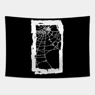 Spider Web Tapestry