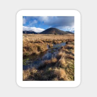 Grasslands And Mountains Magnet