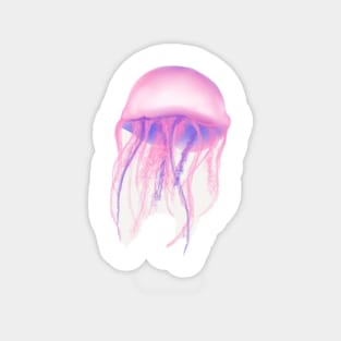 Jellyfish Magnet