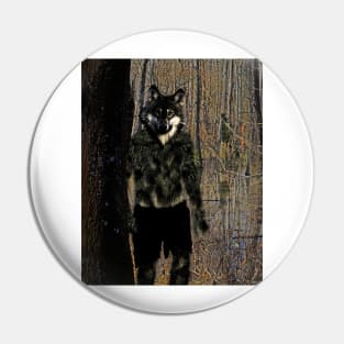 Loup Garou in the Swamp Pin