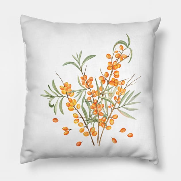 Sea Buckthorn Watercolor Illustration Pillow by Flowersforbear