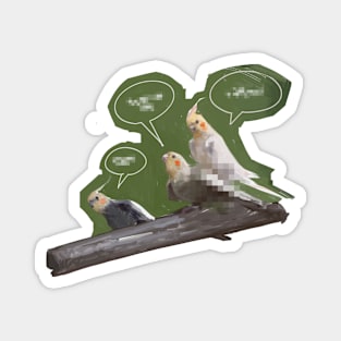 Chatting parrots Magnet