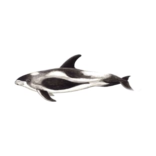 White-beaked dolphin Lagenorhynchus albirostris T-Shirt