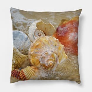 Seashells by the Seashore Pillow