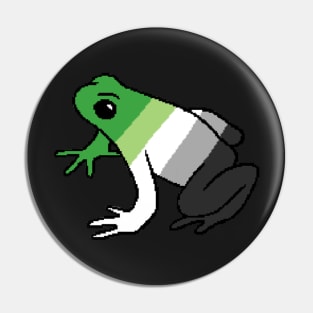 Pixel Aromantic Frog Pin