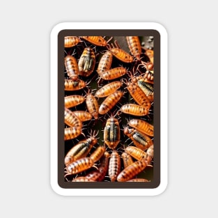 Roaches Magnet