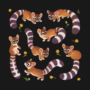 Ringtail T-Shirt