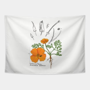 California Poppy Botanical - tan Tapestry