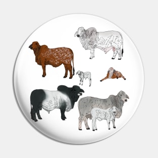 Brahman Cattle Transparent Pin