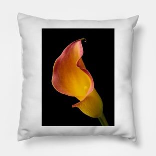 Wonderful Red Yellow Calla lily Pillow