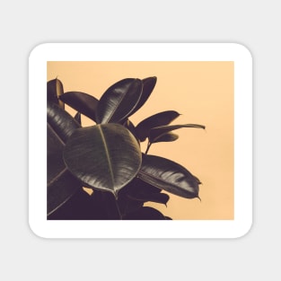 Golden botanical leaves Magnet