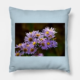 Michaelmas Daisy Pillow