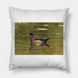 Male Wood Duck - Mud Lake Pillow