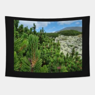 Mountain Pine Tree View Tapestry