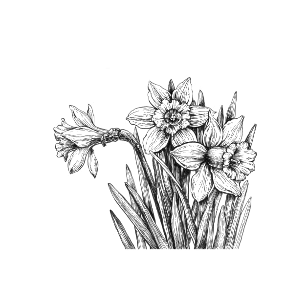 Daffodils ink drawing by katerinamk