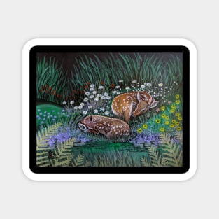 Twin Fawns in a Flowering Meadow Magnet