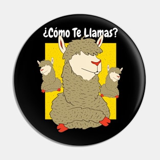 Como te llamas? Funny Maestra Spanish Teacher Art Pin