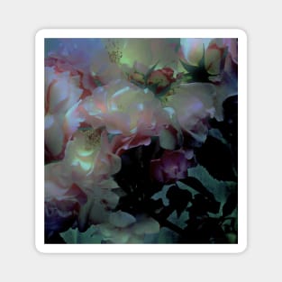 EARLY DAWN MAUVE BLUSH PINK ROSES Magnet