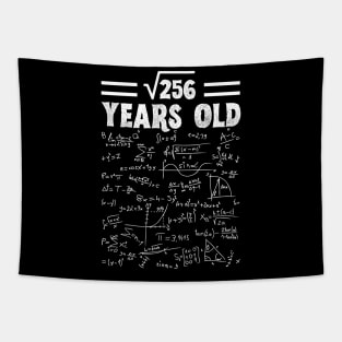 Square Root Of 256 16th Birthday, 16 Year Old Math Lover Gift Tapestry