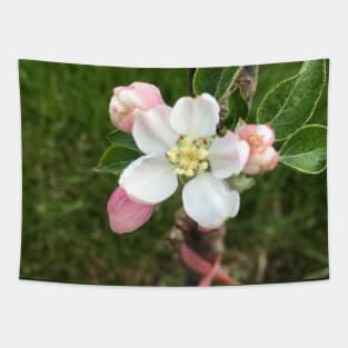 Apple Blossom Tapestry