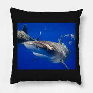 Close Encounter With An Oceanic White Tip Shark Pillow