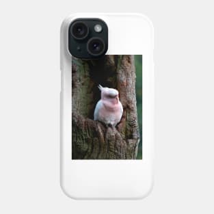 Major Mitchell Pink Cockatoo Phone Case