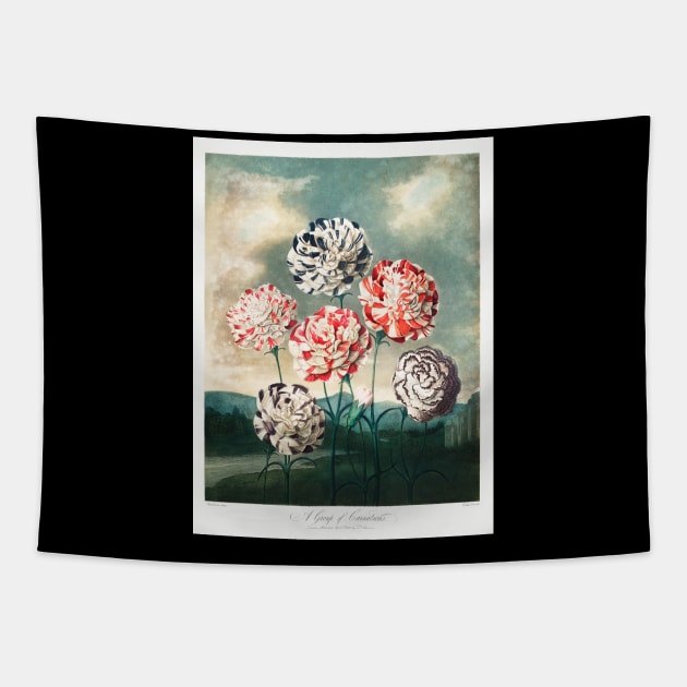 A group of Carnations Tapestry by Cleopsys