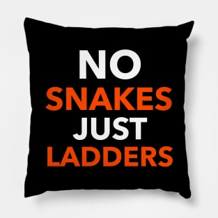 No Snakes Just Ladders Pillow