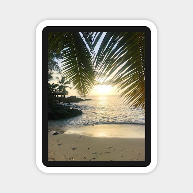 Seychelles mahe island beach palm trees paradise print Magnet by simplythewest