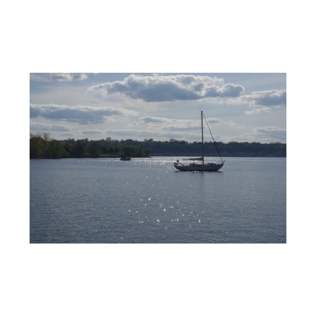 Sun Dappled Boating by srosu