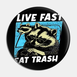 Wild Whimsy Raccoon Artistry Tee Pin