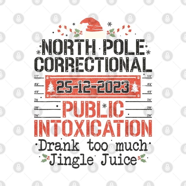 North Pole Correctional Public Intoxication by Junalben Mamaril