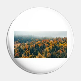 Autumn colors in the mountains Pin