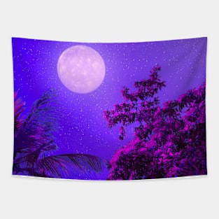 Moonlit Night Tapestry