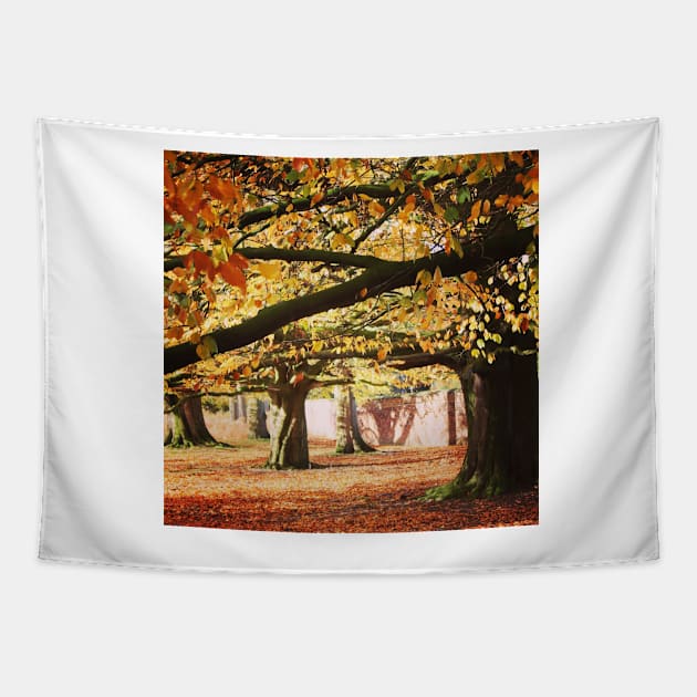 Autumn woodland Tapestry by Jonesyinc