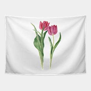 Watercolor pink tulips illustration. Tapestry