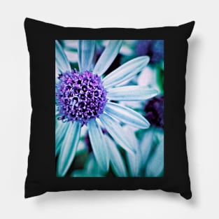 Floral Symphony in Purple Pillow