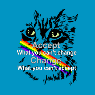 Motivation - Accept what you can't change and change what you can't accept T-Shirt
