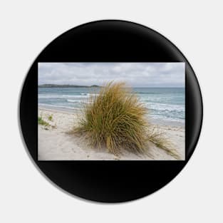 Grasses by the sea Pin