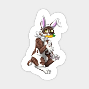 Bobtail BunnyCat: Chocolate Bicolor Tabby (White) Magnet