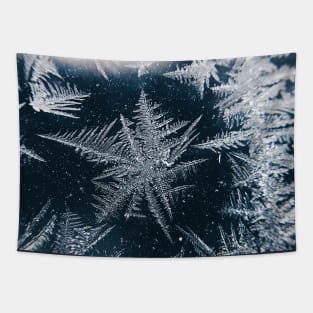 Snowflakes Frosted Glass Winter Tapestry