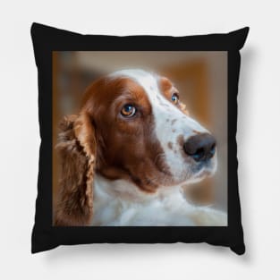 Welsh Springer Spaniel Pillow