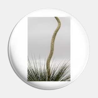 Xanthorrhoea 01 Pin