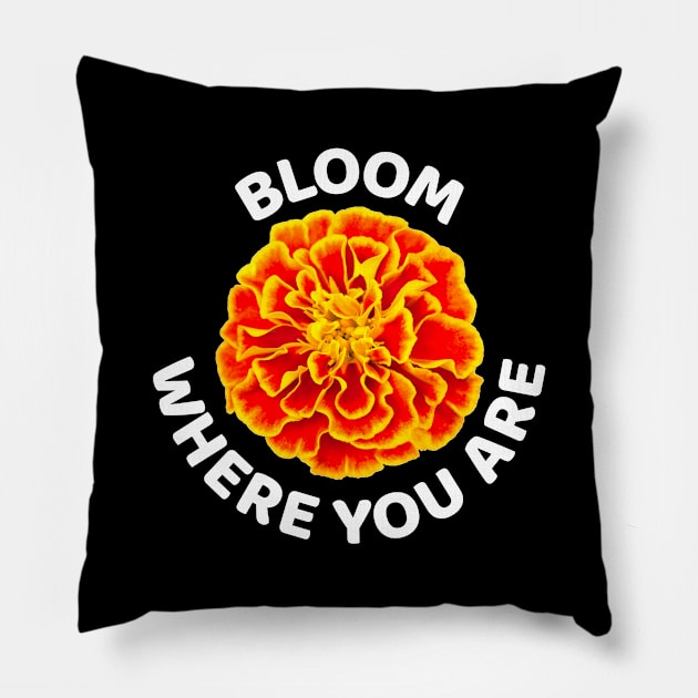 Bloom where you are with happy golden marigold Pillow by pickledpossums