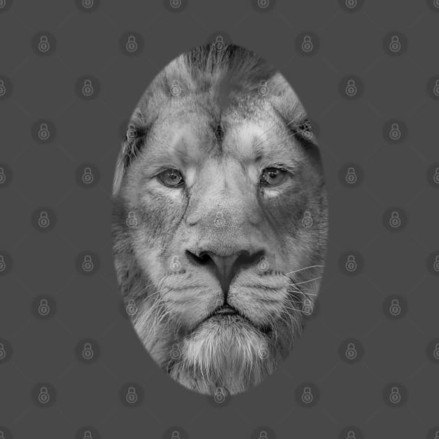 King of the Jungle by dalyndigaital2@gmail.com