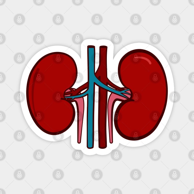 Kidneys Icon Magnet by THP Creative