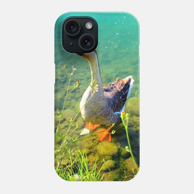 View from Santarelli lakes with a goose walking on some rocks in the aquamarine lake with fresh greenery Phone Case by KristinaDrozd