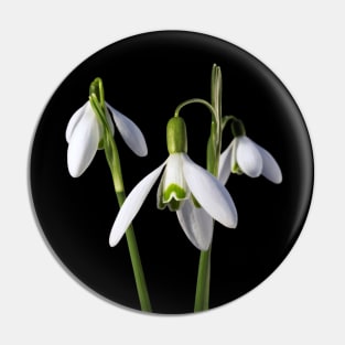 Snowdrops 3, a floral bouquet Pin