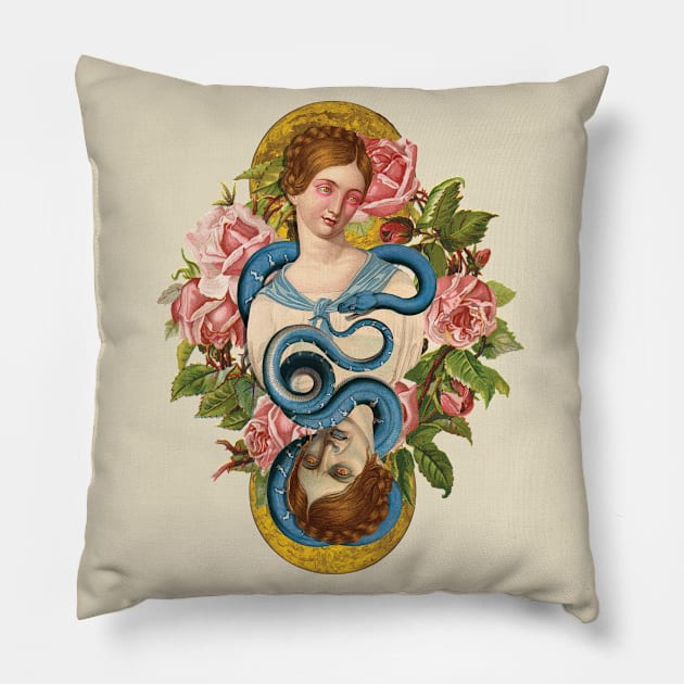 Duality Pillow by Jane Windsor Collage